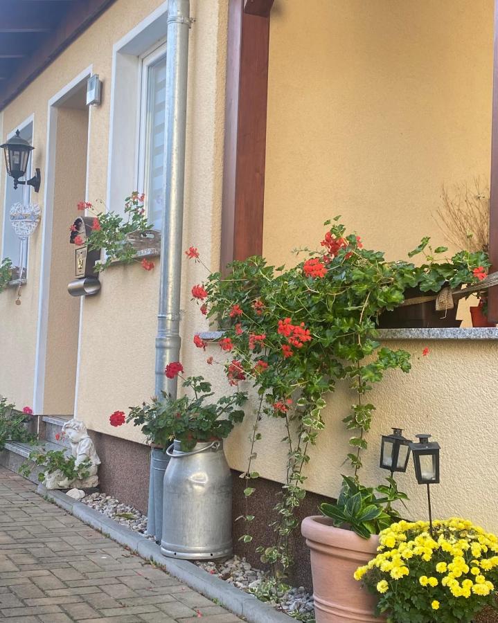 Ferienwohnung „Thea“ Бад Лаузик Екстериор снимка
